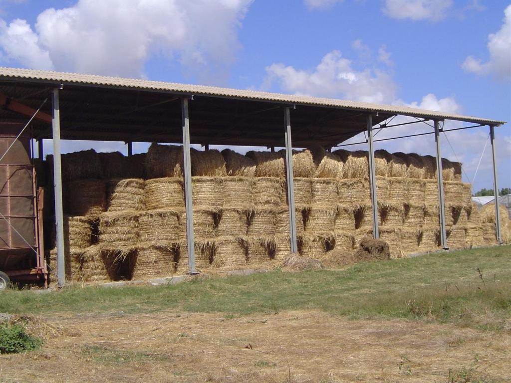 Agriturismo Agrifoglio San Giovanni Suergiu Bagian luar foto